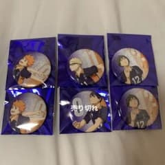 ハイキュー 助走 缶バッジ グリッター 烏野のサムネイル