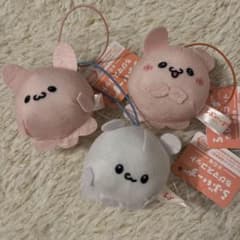 らふいーず　3つセット