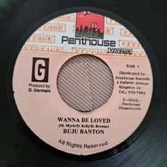 レゲエレコード 7インチ WANNA BE LOVED/BUJU BANTON - メルカリ