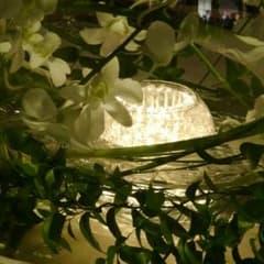 annonno様専用　ルイ・ヴィトンカードケースのサムネイル