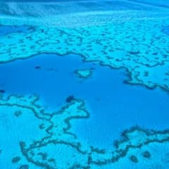 もこう様専用のサムネイル