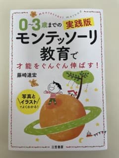 0〜3歳までの実践版モンテッソーリ教育で才能をぐんぐん伸ばす！のサムネイル