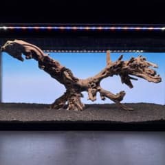 MSW-7637 自立天然流木 1点物枝流木 90cm水槽用 アクアリウム - メルカリ