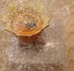 一番くじ ジョジョの奇妙な冒険 スターダストクルセイダーズ H賞