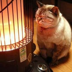 ありえす様専用です！(*/□＼*)♪のサムネイル