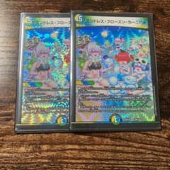 エンドレスフローズンカーニバル　2枚のサムネイル
