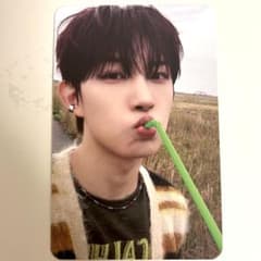 ald1 ゴヌ オリーブヤング ラキドロ トレカ olive young - メルカリ