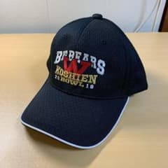 早稲田アメフトキャップ甲子園ボウル出場記念新品未使用のサムネイル