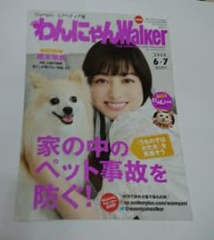 専用 わんにゃんWalker 橋本環奈 1冊のサムネイル