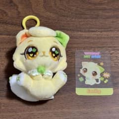 NCT WISH マスコットキーホルダー リョウ NCT WISH WISHCAT PLUSH KEYRING リョウ 未使用 - メルカリ