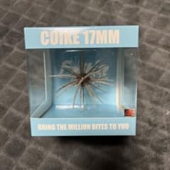 コイケ17mm　エビダッピのサムネイル