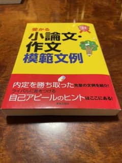 2023年度版 就職試験 受かる小論文・作文模範文例のサムネイル