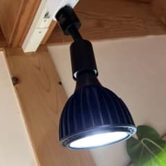 植物育成専用ライト ゼンスイEverSun365 24w ＋BRIMソケット付き