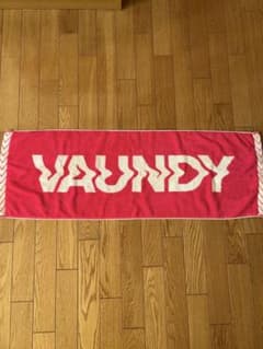 VAUNDY ロゴ タオル ピンクのサムネイル