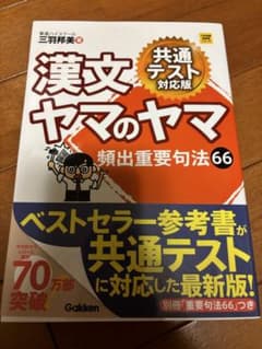 漢文ヤマのヤマ 共通テスト対応版 三羽邦美のサムネイル