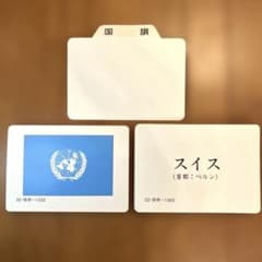 ♫家庭保育園♫たのしい絵カード 国旗 知育玩具のサムネイル