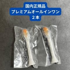 【正規品・最上位モデル】 替えブラシ A3 プレミアムオールインワンレギュラー