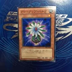 グローアップバルブのサムネイル