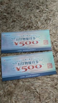 ヤマダ電機 お買物優待券 500円 2枚セットのサムネイル
