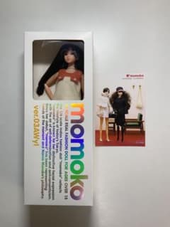 momoko ver.03AWyl（ボディをSAJからMB02へ交換済）のサムネイル