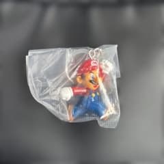 カプセルトイ めじるしアクセサリー マリオのサムネイル