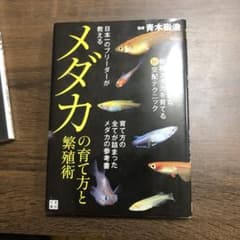 日本一のブリーダーが教えるメダカの育て方と繁殖術のサムネイル