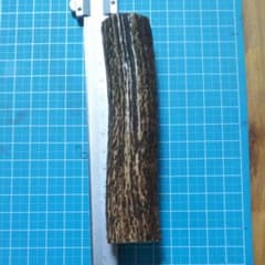 インド産サンバースタッグスティック①のサムネイル