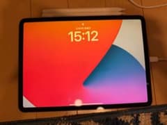 iPad Pro 11インチ 第1世代 256GBのサムネイル