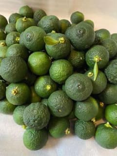 無農薬　青柚子　1キロ前後のサムネイル