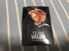 ポケモンGO 缶バッジのサムネイル