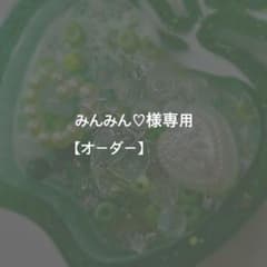 みんみん♡様専用【オーダー】 - メルカリ