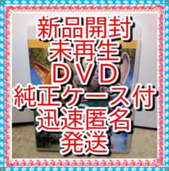 치아님 DVD3점