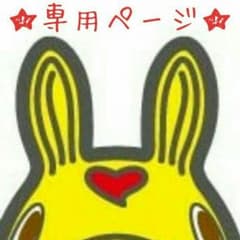 ★大掃除中様専用★のサムネイル