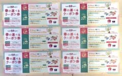 サーティワン 春の選べるクーポン券 6枚セットのサムネイル