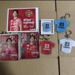 サントリーサンバーズ大阪 柏田樹 グッズ 7点セット - メルカリ