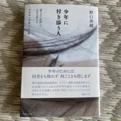 少年に付き添う人 野口善國 現代人文社のサムネイル