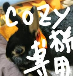 ミニオイルヒータTechnosのサムネイル
