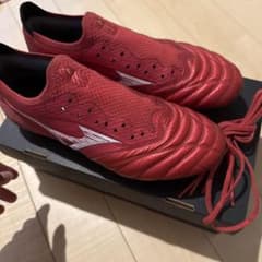 モレリアネオ4β JAPAN 25.0cn - メルカリ