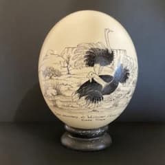 新品】 ダチョウの卵 置き物 アフリカ オブジェ レア - メルカリ