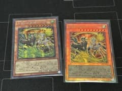 遊戯王 天雷ノ双風神 シーナ 2枚のサムネイル