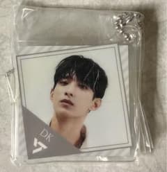 당일 발송 SEVENTEEN 아크릴 매력 도겸