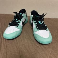 dunk sb sea crystal 27.5 us9.5のサムネイル