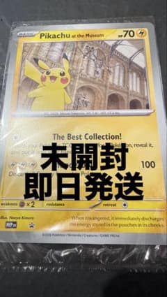 イギリスロンドン自然史博物館ピカチュウPikachu at the Museum - メルカリ