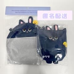 RIIZE 東京ドーム ファンライトバッグ うちわホルダー ウォンビン