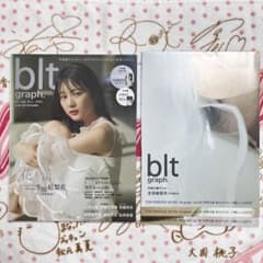 乃木坂46 生田絵梨花 blt graph vol.26 ポスター付き - メルカリ