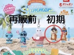 ディズニーキャラクター めじるしアクセサリーSUMMER チップ - メルカリ
