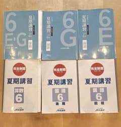 名進研 小6 夏期講習 完全制覇シリーズ 国語 算数 セット 2025年に
