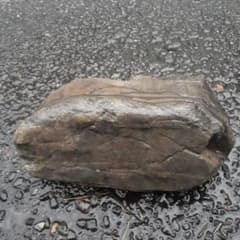天然石 鑑賞石 水石 盆石 庭石瀬田虎石 天然石 鑑賞石 水石 盆石 庭石瀬田虎石 - メルカリ