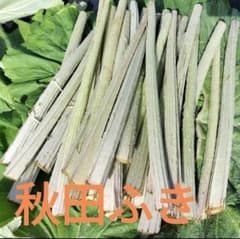 ①秋田ふき　６０サイズ　フキ　蕗のサムネイル