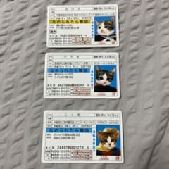 なめ猫　カード（免許証3枚セット）のサムネイル